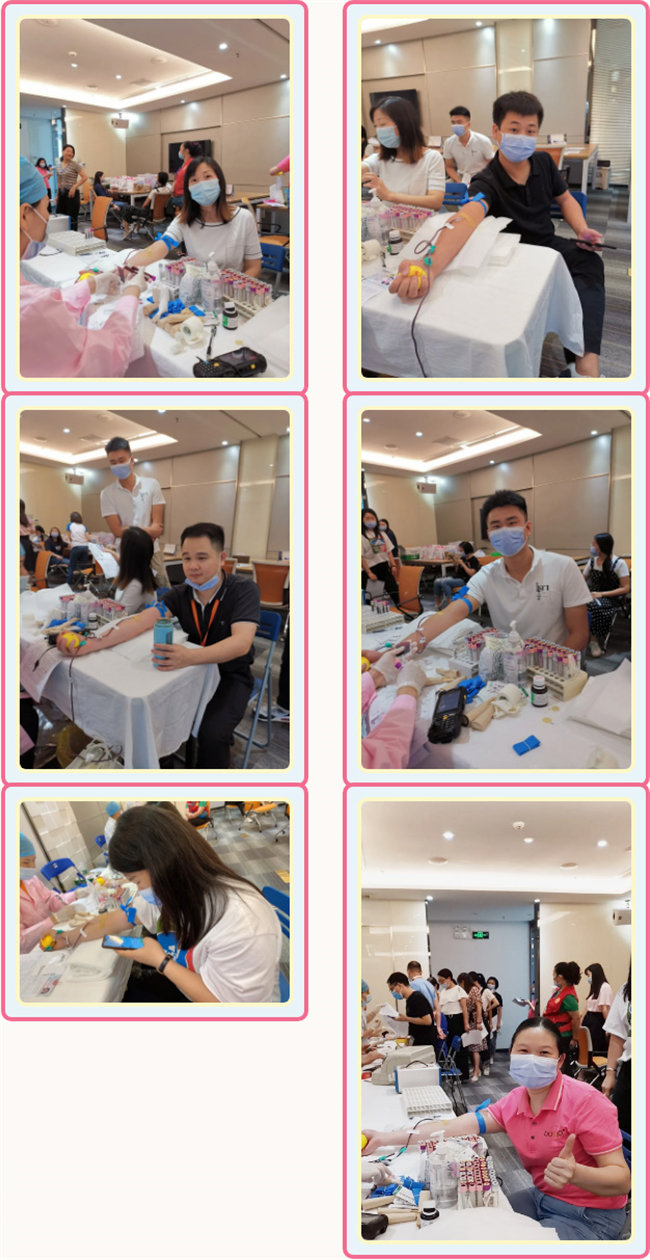 捐獻(xiàn)青春熱血,彩繪人生畫卷——廣東博皓總班委組織了一次“捐我熱血,呵護(hù)生命”的無償獻(xiàn)血公益活動(dòng) -3