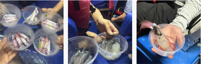 攜手博皓逐夢(mèng)行,巽寮灣上展豪情—廣東博皓2025年巽寮灣之旅 -10